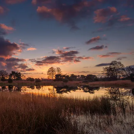 Шале Wellness In The Woods - 4p Tinyhouse Met Prive Sauna & Hottub *
