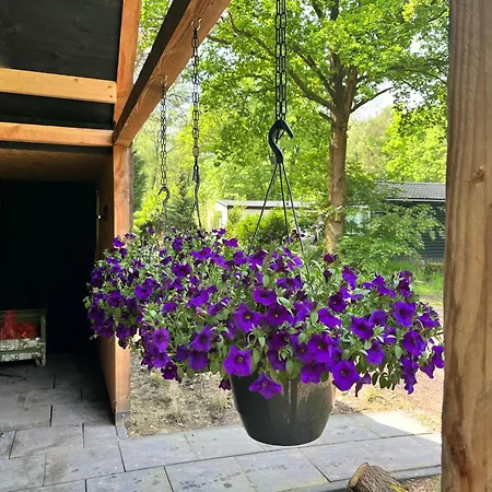 Wellness In The Woods - 4p Tinyhouse Met Prive Sauna & Hottub 木屋