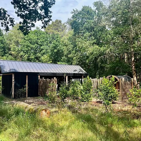 Wellness In The Woods - 4p Tinyhouse Met Prive Sauna & Hottub *