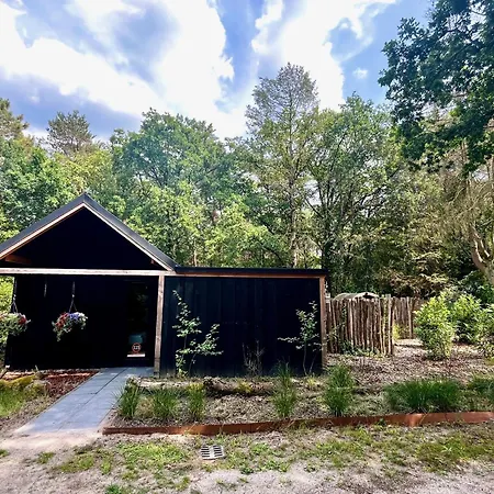 Wellness In The Woods - 4p Tinyhouse Met Prive Sauna & Hottub Diessen