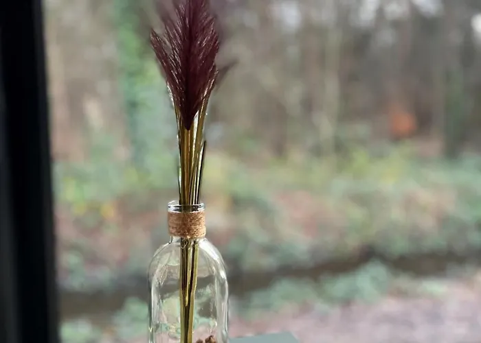 Wellness In The Woods - 4p Tinyhouse Met Prive Sauna & Hottub Chalet Diessen