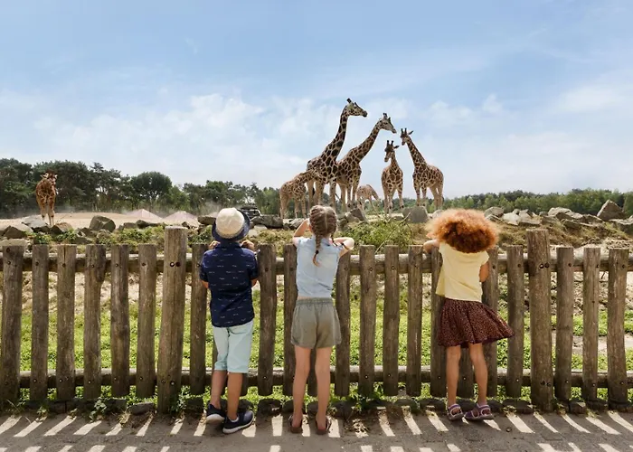 Wellness In The Woods - 4p Tinyhouse Met Prive Sauna & Hottub Шале Diessen