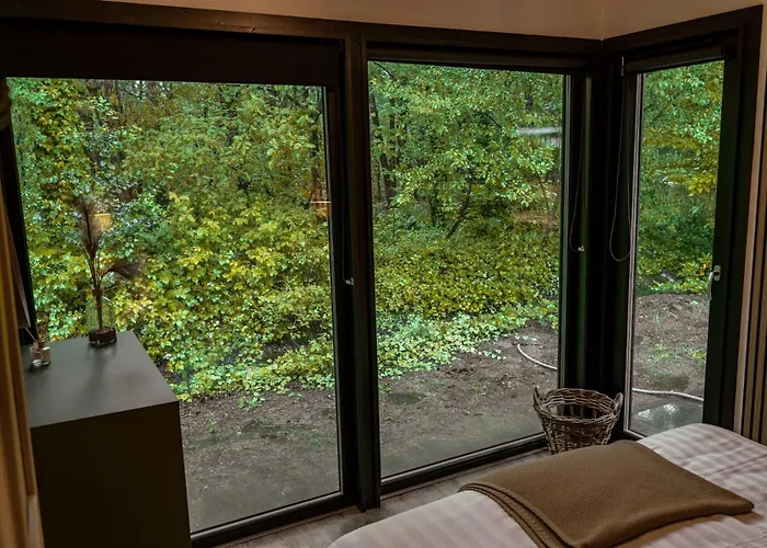 Wellness In The Woods - 4p Tinyhouse Met Prive Sauna & Hottub *