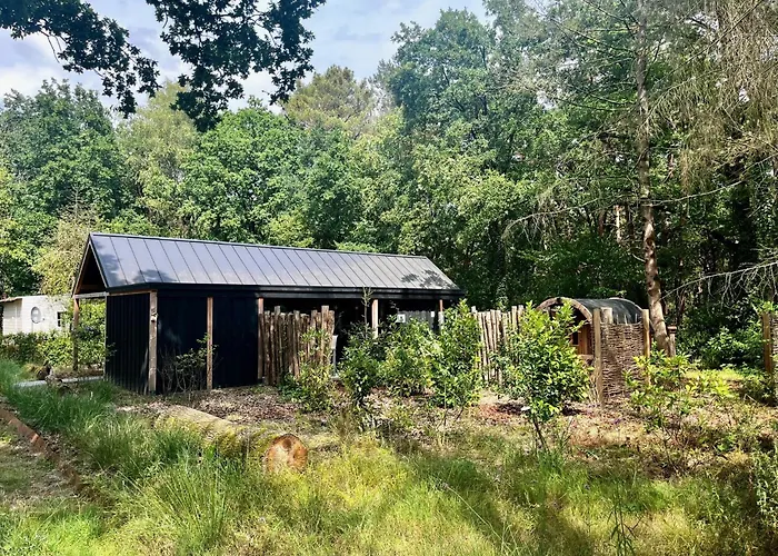 Wellness In The Woods - 4p Tinyhouse Met Prive Sauna & Hottub *