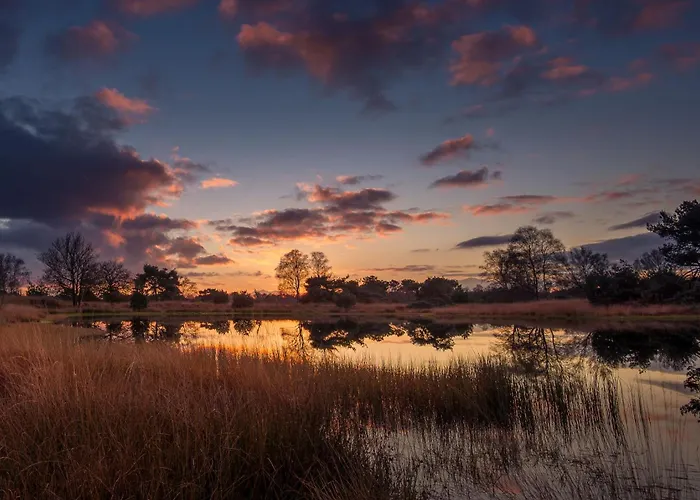 Chalet Wellness In The Woods - 4p Tinyhouse Met Prive Sauna & Hottub *