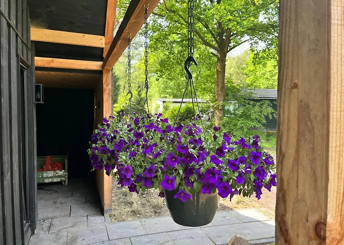 Wellness In The Woods - 4p Tinyhouse Met Prive Sauna & Hottub Chalet